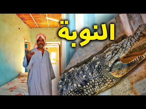 Aswan 2026