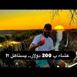 عشاء رومانسي ب 200 دولار في مكان ساحر .. هل يستحق؟! قابلت أطول حيوان علي وجه الأرض 2026