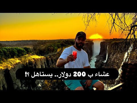 عشاء رومانسي ب 200 دولار في مكان ساحر .. هل يستحق؟! قابلت أطول حيوان علي وجه الأرض 2026