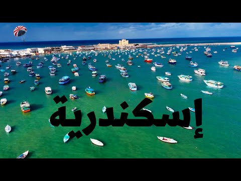 إسكندرية في الشتاء ؟ فسح ومطاعم وسكن على البحر مباشر بأفضل فيو في إسكندرية 2026