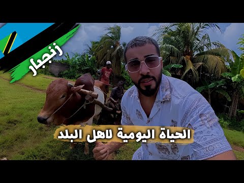 الوجه الآخر لزنجبار! 🌍| كيف يعيش أهل الجزيرة بعيدًا عن المنتجعات؟ 🤔 2026