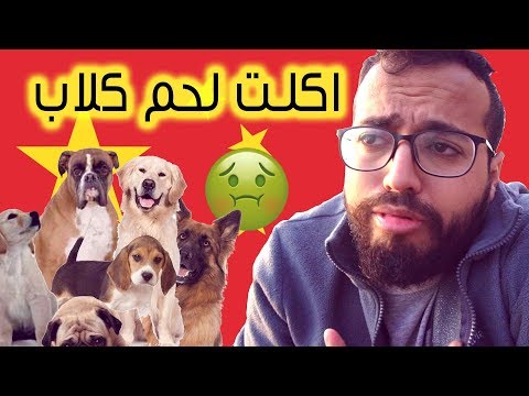 اقرف تجربة في حياتي 🤢 #اسأل_انس 2026