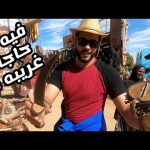 خدت شاور مع التماسيح في أسوان 🐊 2026