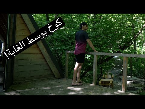 رحله في غابات جورجيا – Georgia 2026