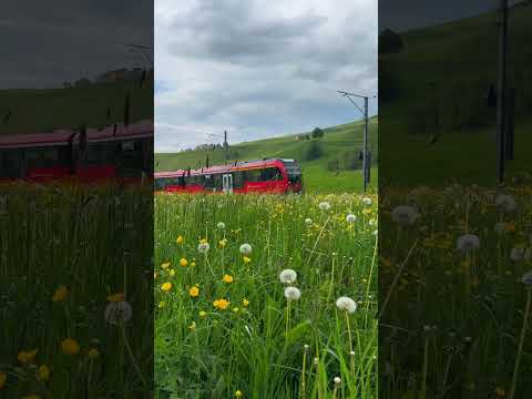 متخيل كذا المناظر في سويسرا؟ 🇨🇭😍 2026