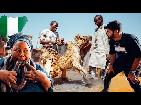 رجال الضبع في نيجيريا الأغرب بالعالم – The Hyena Men 🇳🇬 2026