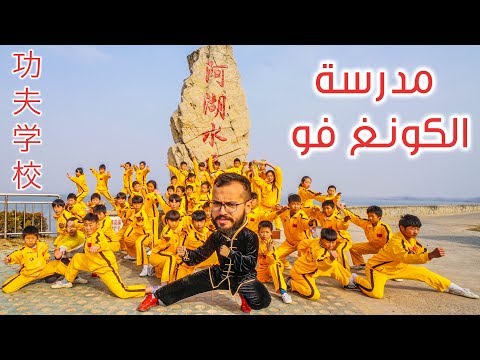 حقائق من داخل مدرسة الكونغ فو 2026