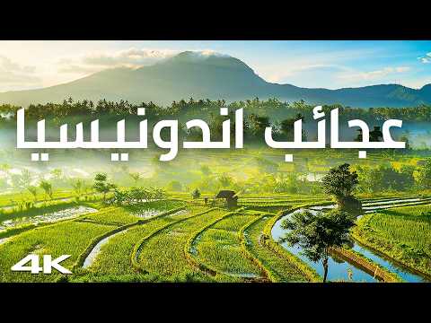 كوكب العجائب.. إندونيسيا – رحلة إلى قلب الجمال الاستوائي 2026