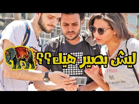 لا تركب الفيل قبل مشاهدة هذا الفيديو 2026