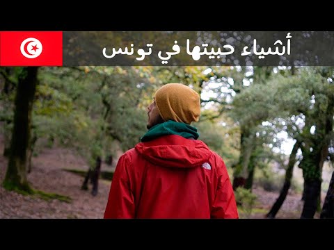 آخر فيديو من تونس 🇹🇳 شو حبيت فيها؟ 2026