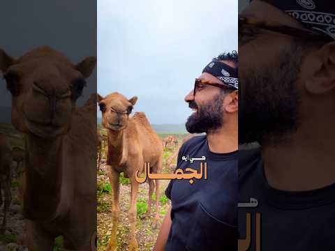 جمال طبيعة صلالة – عمان🇴🇲 2026