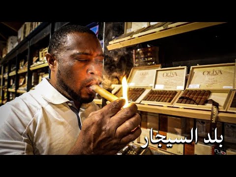 الدومينيكان بلد السيجار أو افريقيا اللاتينية؟ 2026