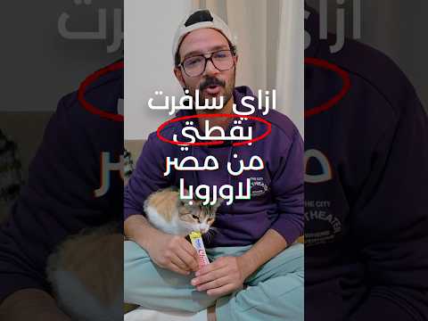 ازاي سافرت بقطتي من مصر لاوروبا 🐈❤️✈️حملوا تطبيق نوميرو، اللينك في الديسكريبشن بوكس 2026