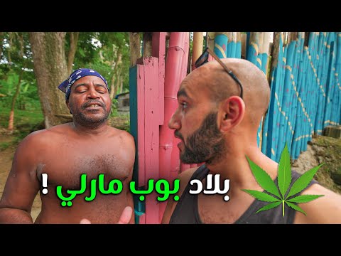 جمايكا الخارجة عن السيطرة ومارجوانا في كل مكان 😵‍💫 2026