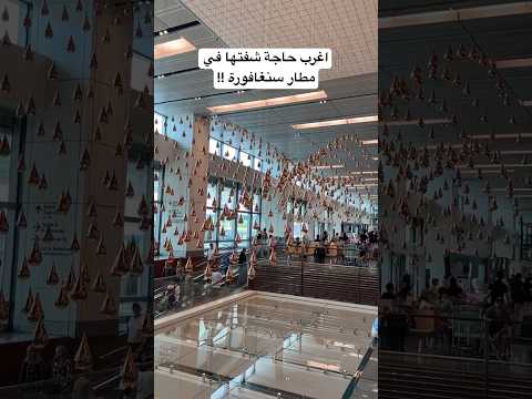 اغرب حاجة شفتها في مطار سنغافورة!! 2026