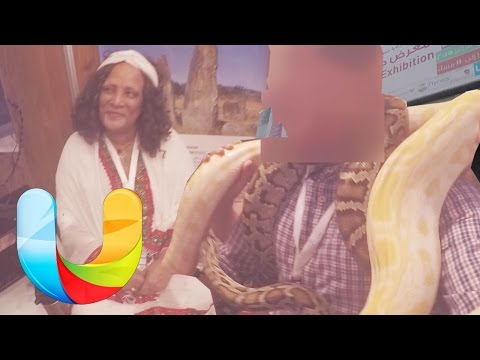 غرآئب دول العالم تحت سقف واحد 2026