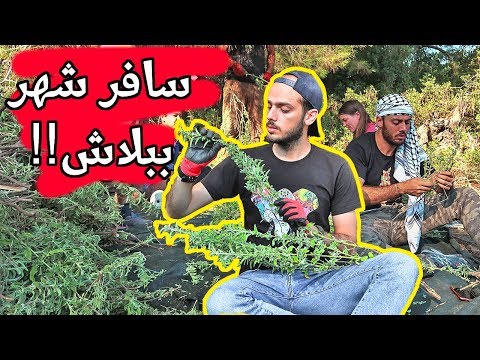 سافر كمتطوع ببلاش: دليل شامل || تجربتي مع موقع Workaway.info والسياحة التطوعية 2026