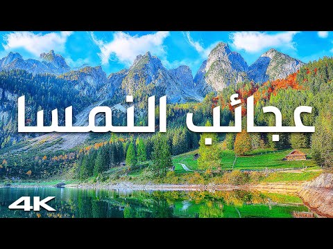جوهرة أوروبا.. النمسا – رحلة إلى أرض الطبيعة والجمال 2026