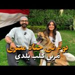 يوم في حياة مُربي كلب بلدي !! 2026