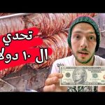 الجولة المجنونة من أكل الشارع في إسطنبول 2026