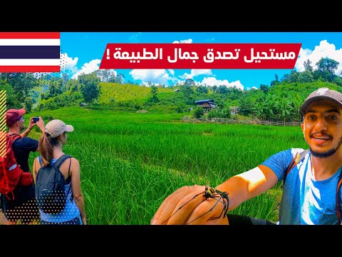 رحلة في غابات تايلاند شانغماي – best jungle tour in chiang mai 2026