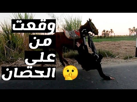 اجازه الصعيد اول يوم في البلد 2026