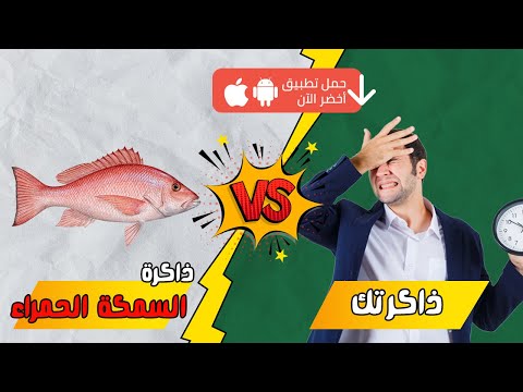 كيف تؤثر السوشيال ميديا على عقولنا؟ – كتاب حضارة السمكة الحمراء 2026