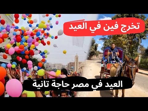 انهي أفضل فسح زمان ولا فسح دلوقتي القناطر الخيرية والأهرامات ولا أوبن إير مول أكبر مولات مدينتي 2026