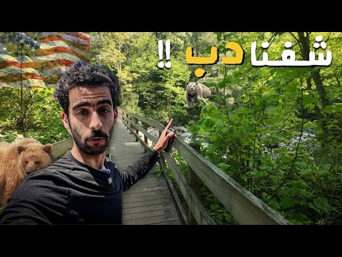 حققت حلمي 2026