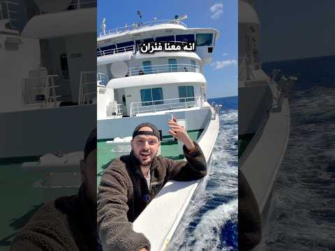 وضعنا في السفينة الموبوءة 2026