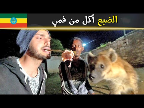 مسلمون يعيشون مع الضباع في الحبشة! 🥩🇪🇹 2026