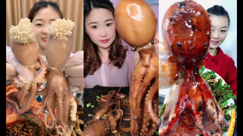 【China mukbang octopus challenge 】 asmr amazing mukbang seafood eating show compilation