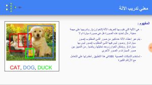 كورس 05 القسم الخامس : الشبكات العصبية Neural Network باللغة العربية 2026