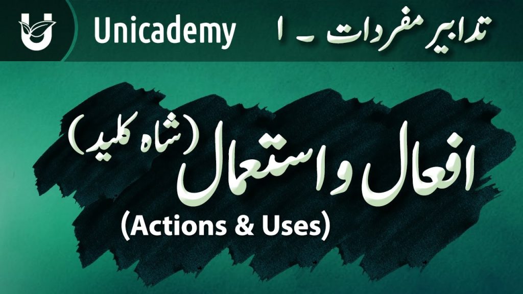 Afaal-o-Istemaal (Action & Uses) | افعال و استعمال