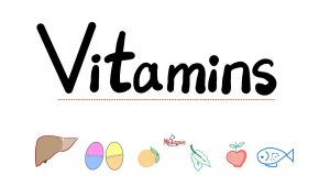 كورس Diet & Nutrition من الصفر باللغة العربية