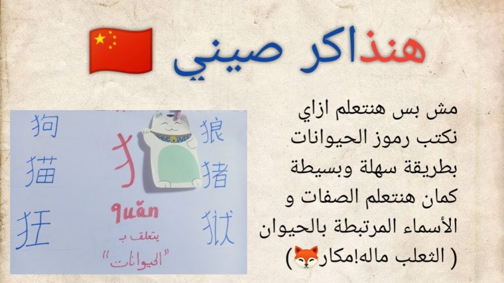هنذاكر صيني 🇨🇳 الحلقة ٣٨ من كورس تعلم الرموز الصينية 犭🐈🐕