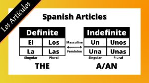 كورس Spanish Grammar من الصفر باللغة العربية 2026
