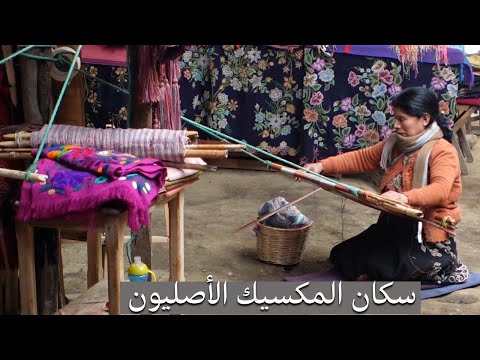 زرت المكسيكيون الاصليون 2026