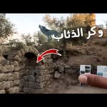 دخلت وكر ذئاب بدون قصد ☠️ | خيمت علي بحيرة معزوله لوحدي تماما 🔥 مغامره قويه في ريف تركيا 🇹🇷 2026