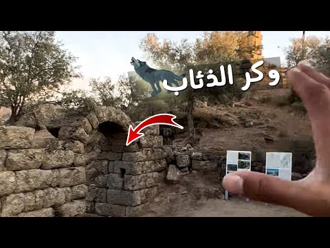 دخلت وكر ذئاب بدون قصد ☠️ | خيمت علي بحيرة معزوله لوحدي تماما 🔥 مغامره قويه في ريف تركيا 🇹🇷 2026