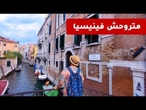 عيوب فينيسيا 2026