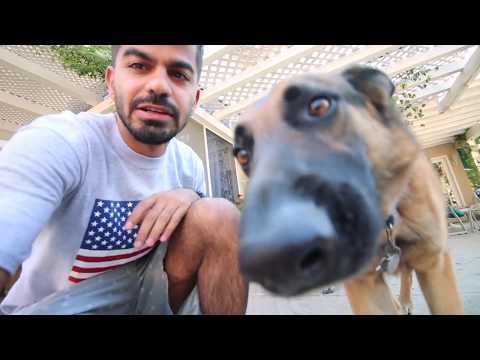 حياة الأثرياء في أمريكا !! 2026