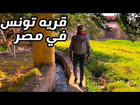 استكشاف قريه تونس وقصه اغرب مدرسه لصناعه الفخار في مصر 2026