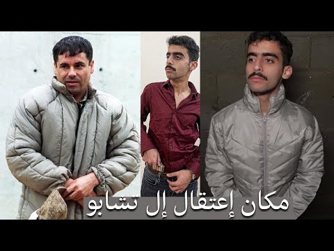 زرت عصابة إل تشابو 2026