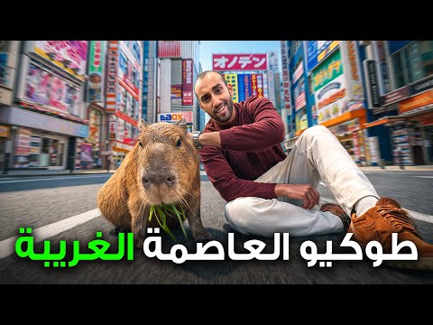 وصلت اليابان لأول مرة ، تسوق و أكل وشوارع طوكيو 🇯🇵 2026