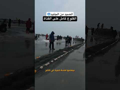 كيف يصطاد الصينيون الأسماك من الجليد !! أغرب طريقة صيد في العالم ❄️🇨🇳 2026