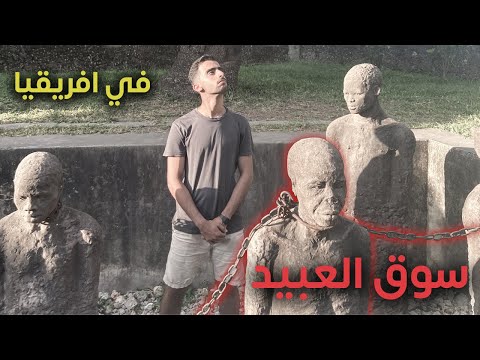 زنجبار 2026