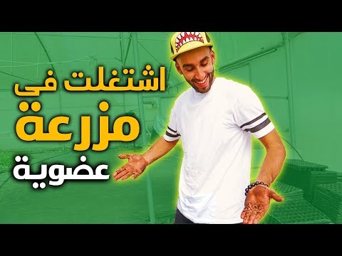 سديم | الاسبوع السابع | تحدي التسويق || محمد السليني – تجربة العمل كمزارع لمدة يوم 2026