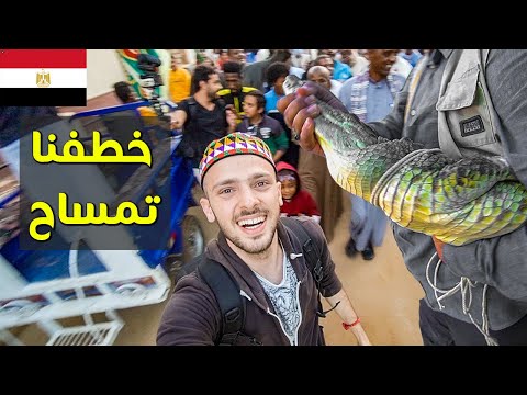 الحضارة الغرقانة في مصر أسوان 2026