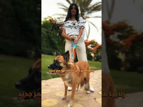 ريناد نقذت الكلبة زلابيا و تبنتها 2026